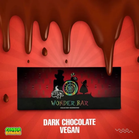 Wonder Bar Dark Chocolate Vegan